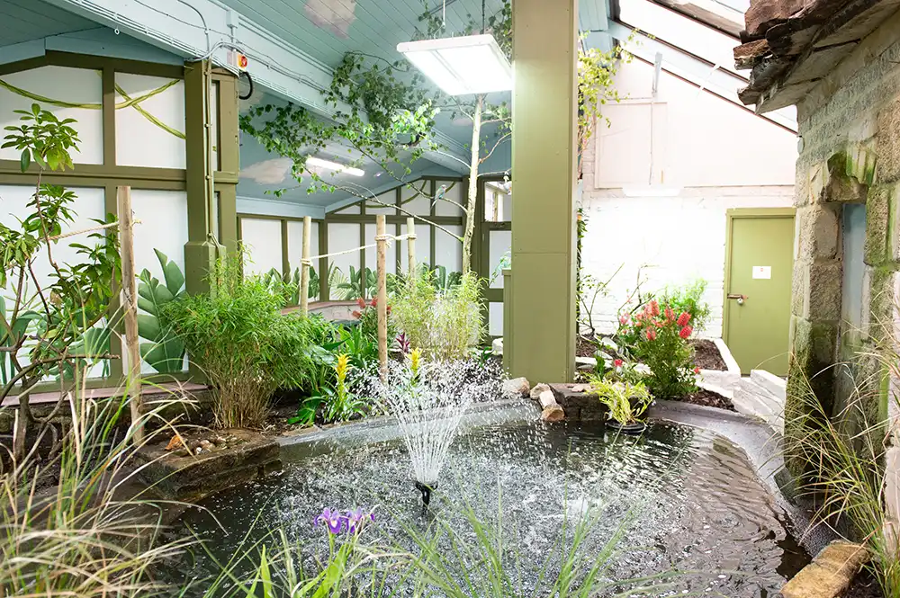 love-and-colour-03 love-and-colour-03